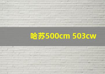 哈苏500cm 503cw